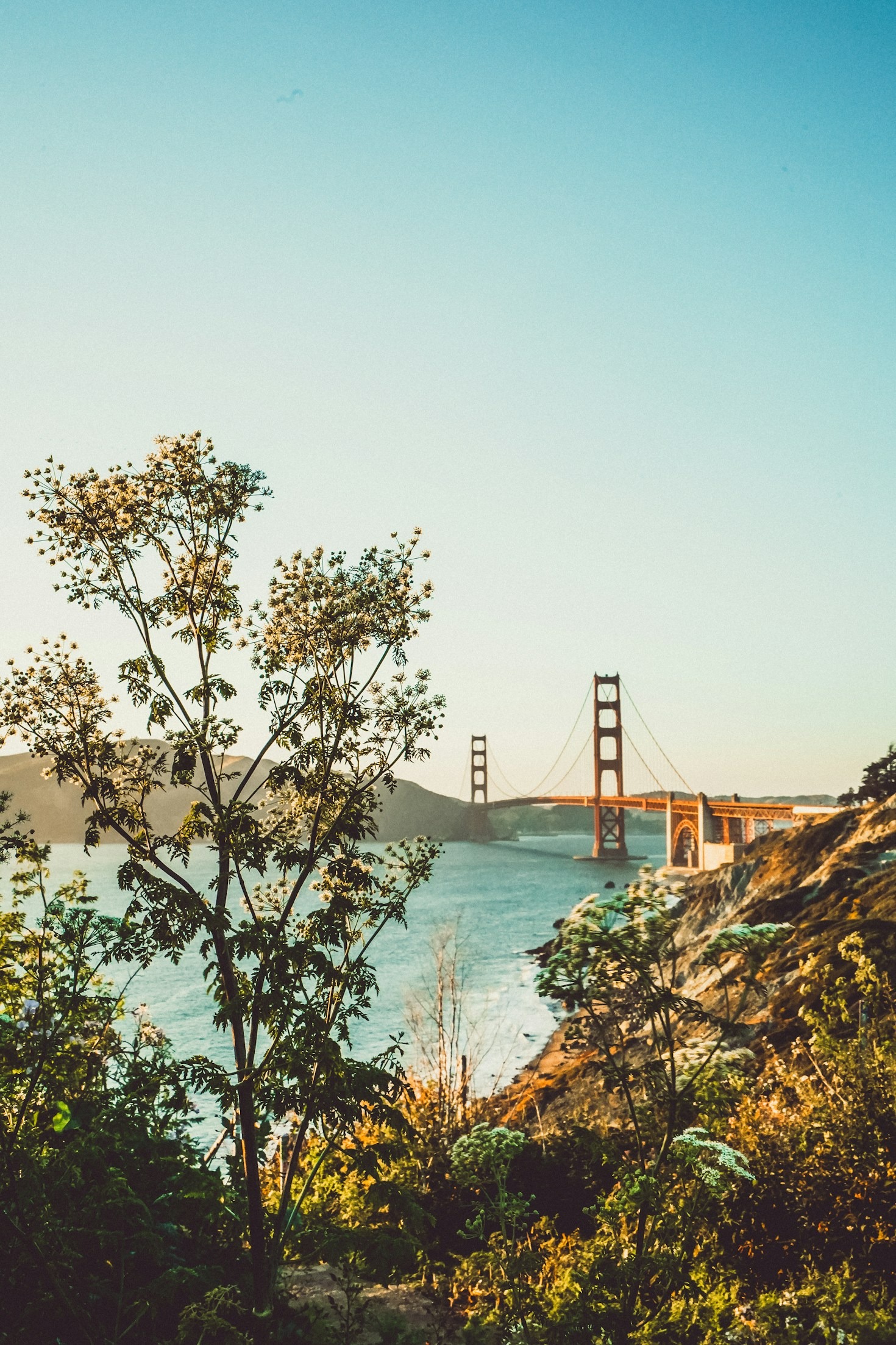 How the Bay Area Shapes a Developer’s Mindset